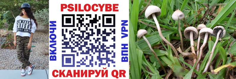 Купить где  Нефтекамск  Псилоцибиновые грибы мицелий